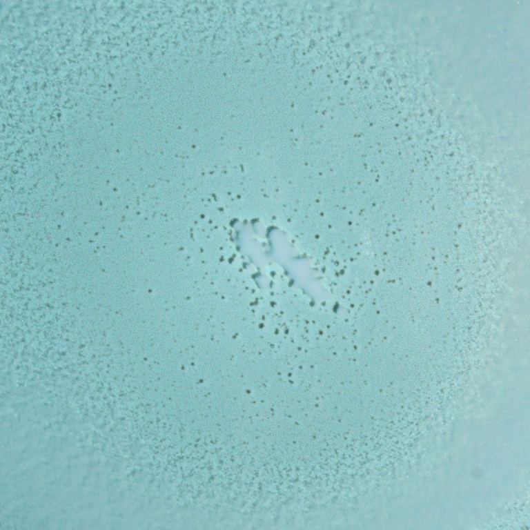 Bask SPF 30 Mineral Non-Aerosol Spray