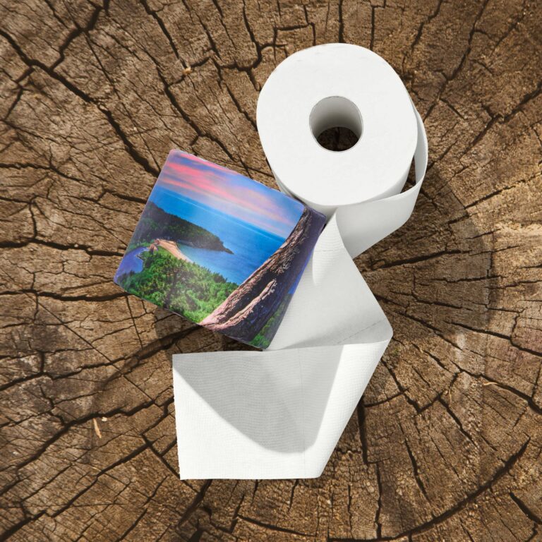Toilet paper roll with a scenic landscape image on a tree stump.